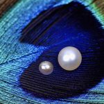 Does Mexico have the world’s rarest pearl?